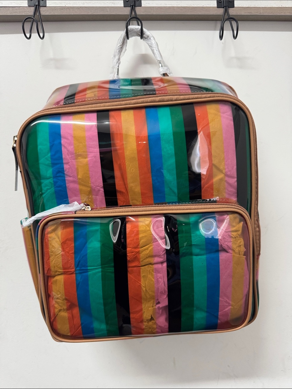 Vibrant Multi-Stripe Clear Backpack - Colorful